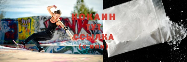 бошки Белокуриха