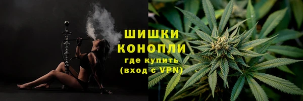 дживик Киренск