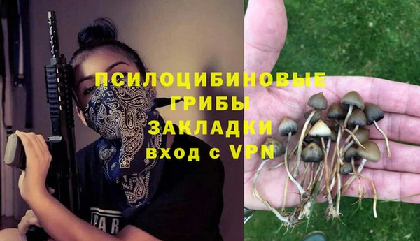 ПСИЛОЦИБИНОВЫЕ ГРИБЫ Баксан