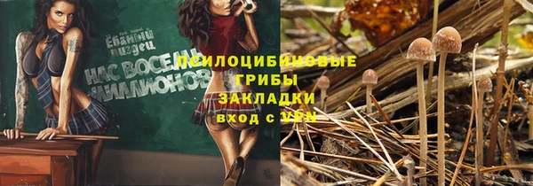 PSILOCYBIN Беломорск
