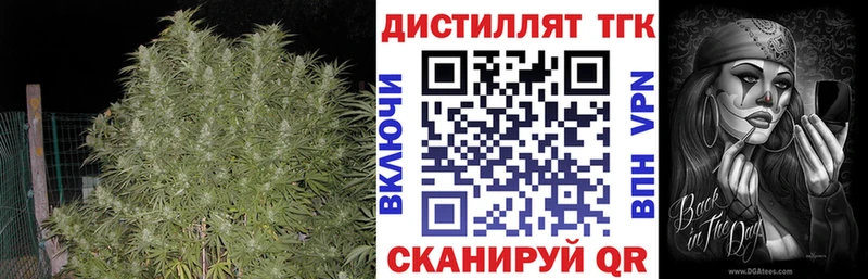 Дистиллят ТГК Wax  продажа наркотиков  ссылка на мегу как зайти  Железногорск-Илимский 